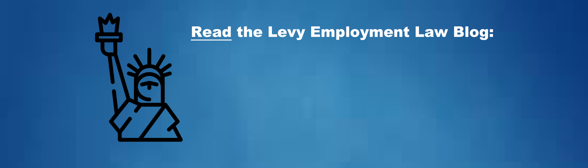 Levy Employment Law