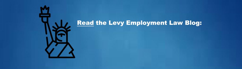 Levy Employment Law